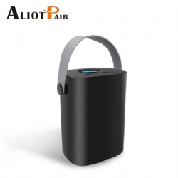 Car Air Pump